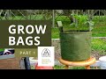 Using your grow bag  part 1