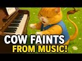 Cat’s Magical Piano Tune That Made a Cow Faint | When a Cat Plays Piano… Even a Cow Can’t Handle It|