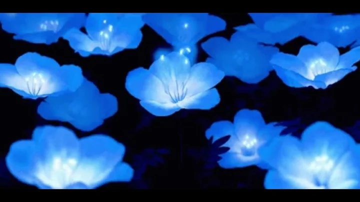 Kendrick Lamar - Chapter Six (Extended) [slowed & reverb]