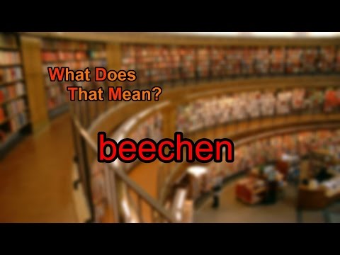 Video: ¿Qué significa Beechen?