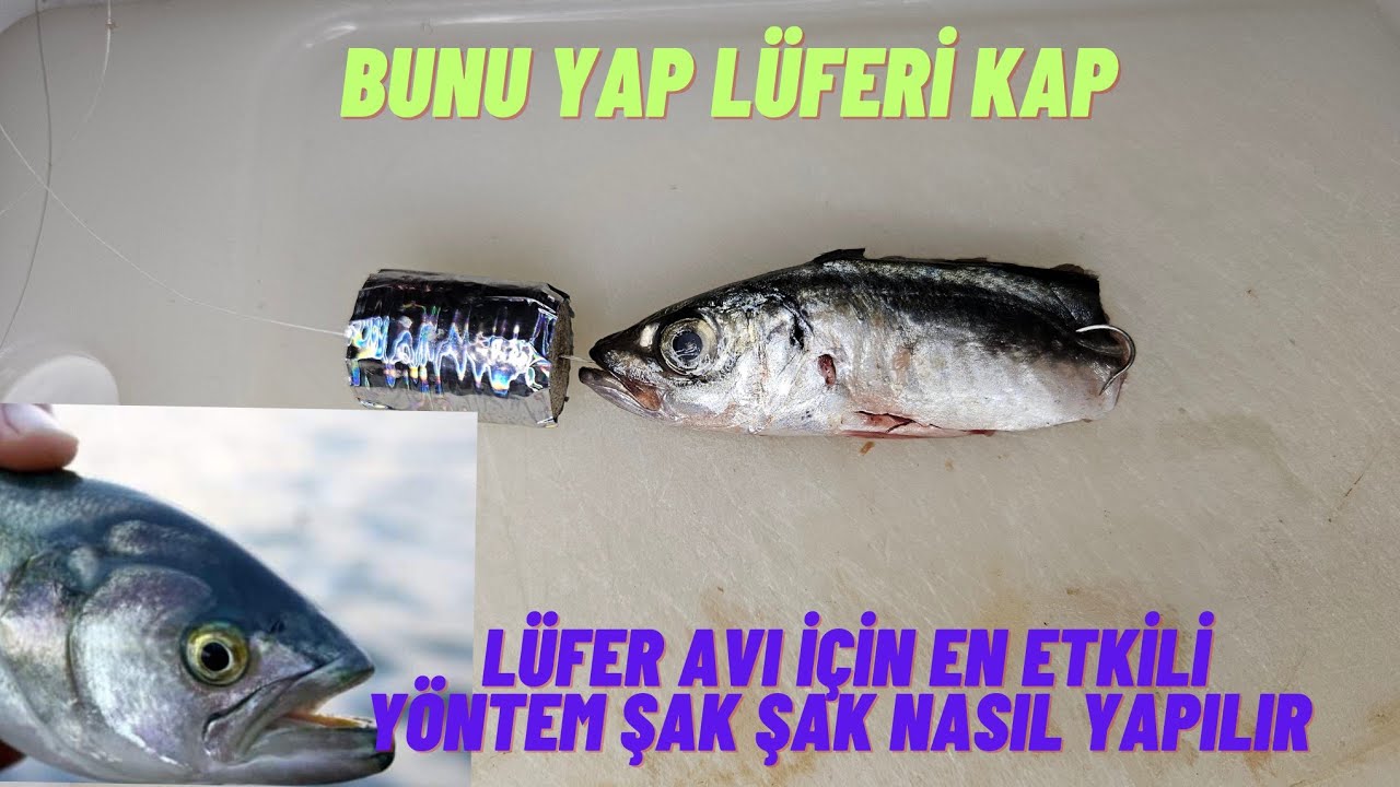LÜFER AVI,NDA ETKİLİ SİSTEM BUNU DENEYİN