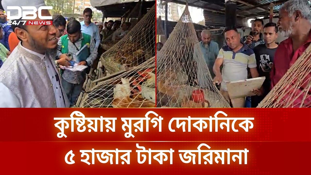 কুষ্টিয়ায় এমপি আমির হামজার সামনে মুরগি দোকানিকে ৫ হাজার টাকা জরিমানা | DBC NEWS