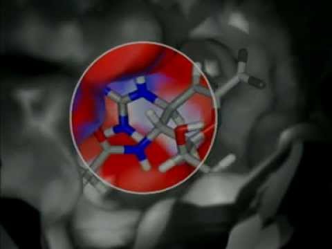 Video: La Semantica Di Chemical Markup Language (CML) Per La Chimica Computazionale: CompChem