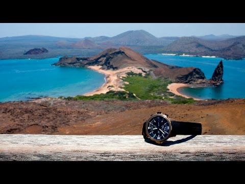 In The Field With IWC And The Charles Darwin Foundation