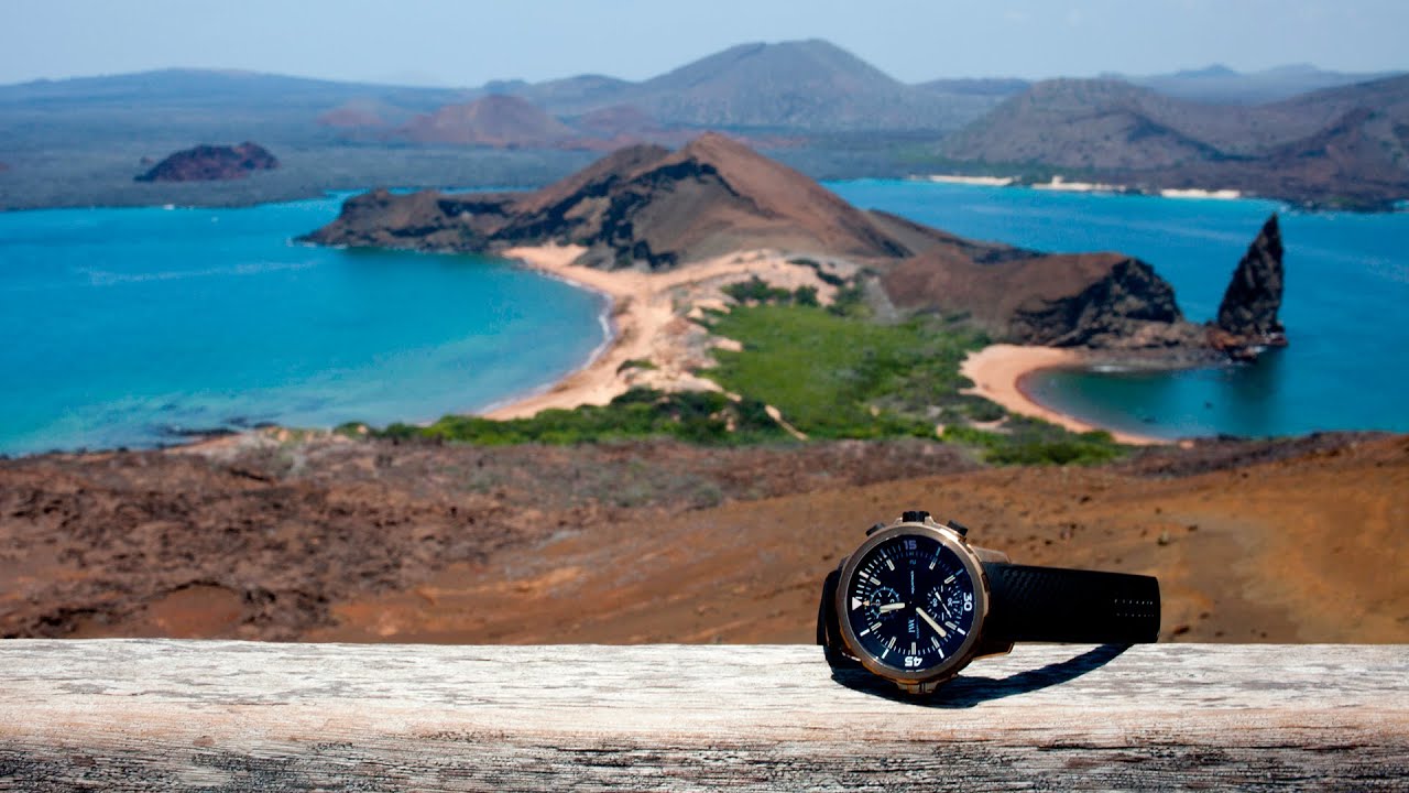 In The Field With IWC And The Charles Darwin Foundation