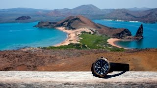 In The Field With IWC And The Charles Darwin Foundation