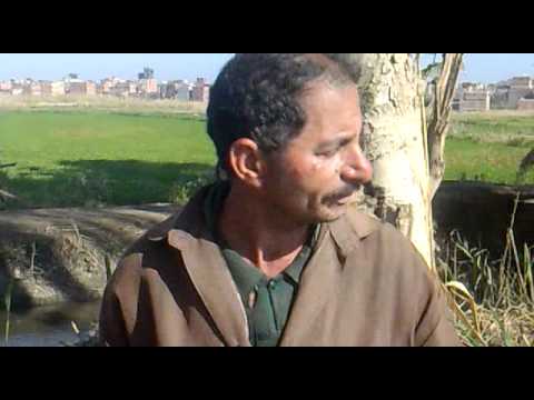 مقابر استثماريه بالسياله