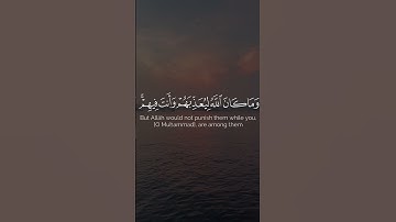 وما كان الله ليعذبهم وأنت فيهم | عبدالرحمن الزواوي | سورة الأنفال