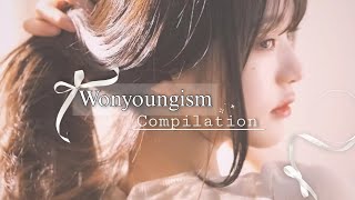 ౨ৎ ˖ ࣪⊹ Wonyoungism tiktok compilation to make our day better ˚ ೀ⋆｡˚ screenshot 5