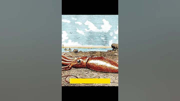 Mysterious Animal In The Deep Ocean | Giant Squid #shorts #viral