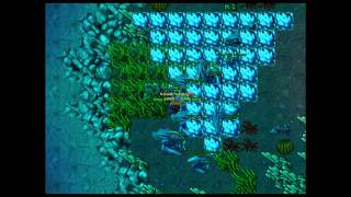 [Autumn Patch 2011] New Sea Serpent hunting ground