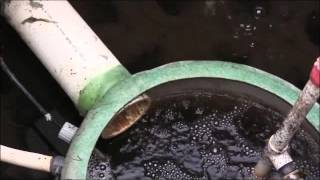 Water Quality Technician Ryan Sheldon Inspects a Multi-Flo Sewage Treatment System
