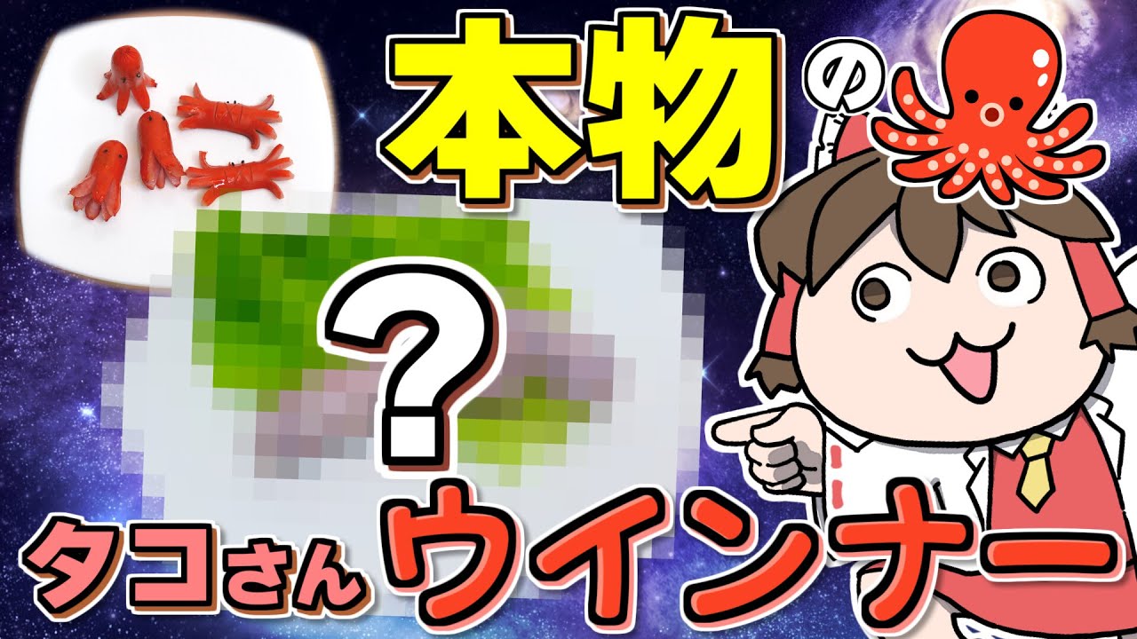 本物のタコを使ってタコさんウィンナーを作ってみた！！【ゆっくり】【サイエンスクッキング #13】