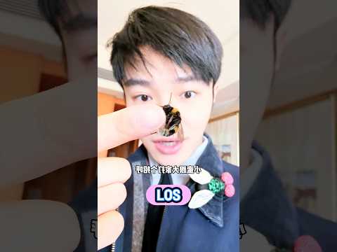 ¡La mascota de este chico es una abeja! thumbnail