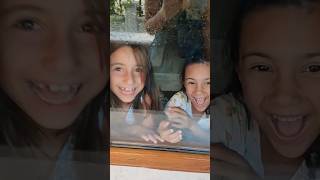 Umayla Sılayı Suladım