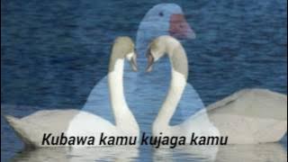 Arwana band-Angsa putih_lirik