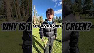 Louis describes why grass is green #gcserevision #gcse #biology #learning