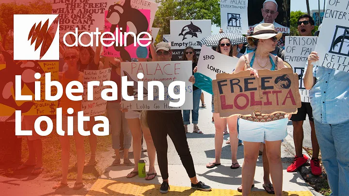 Free the Whales - Liberating Lolita