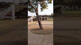 Estación Ramallo- Provincia de Buenos Aires Argentina