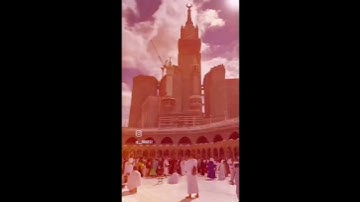 تلاوة جميلة للقارئ محمد سليمان