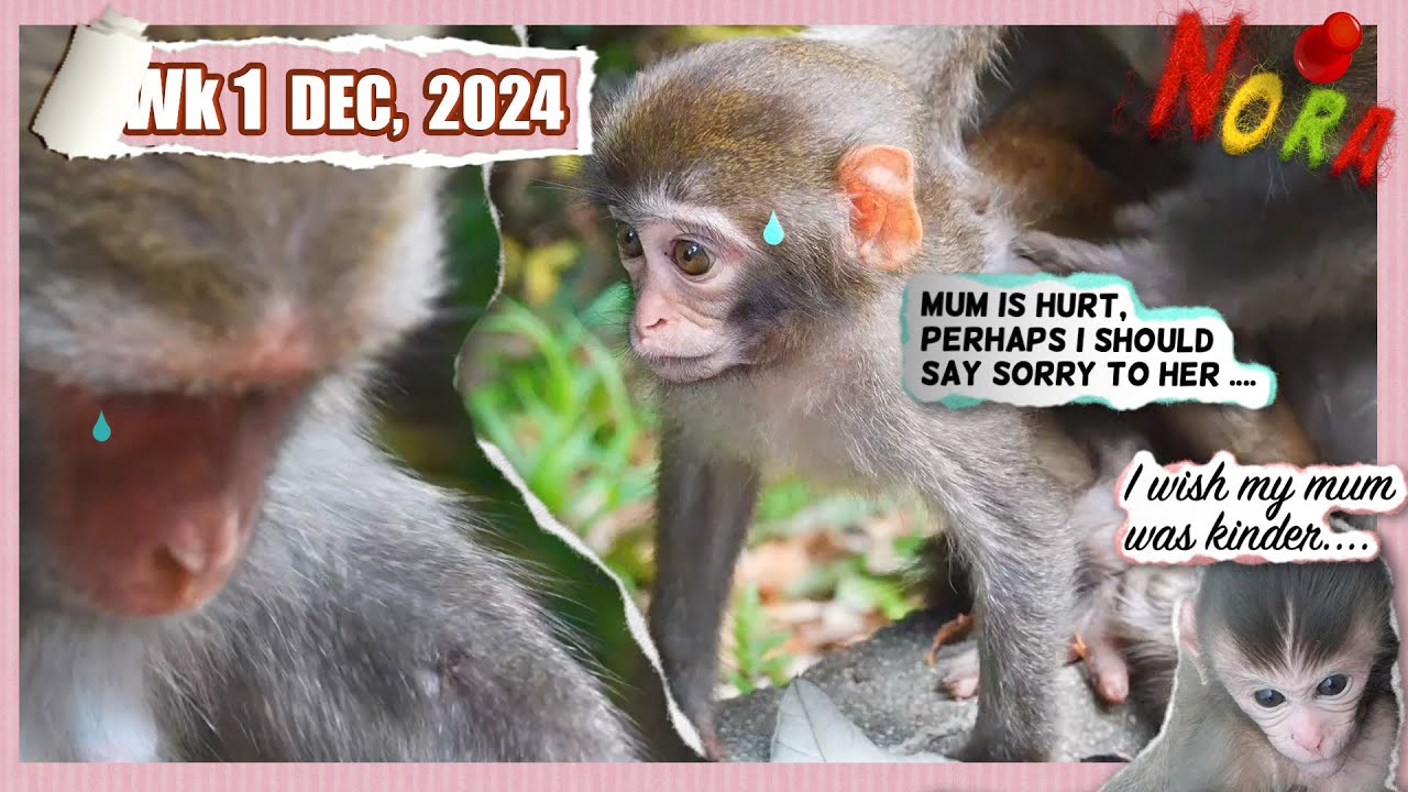 Weaning or not, things aren't the same anymore 😢