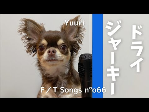 【替え歌】犬が『ドライフラワー』を歌ってみたら切なかった【優里】/THE FIRST TAKE