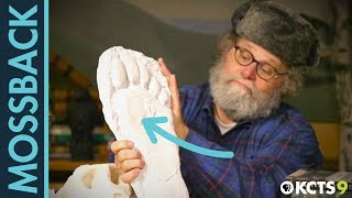Does Bigfoot Exist Science Says Its Possible. | Mossback's Northwest
