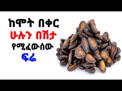 ቪዲዮ: የጥድ ዛፌ ለምን ቡናማ ይሆናል?