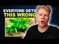 How To Use Cilantro For Heavy Metal Detox