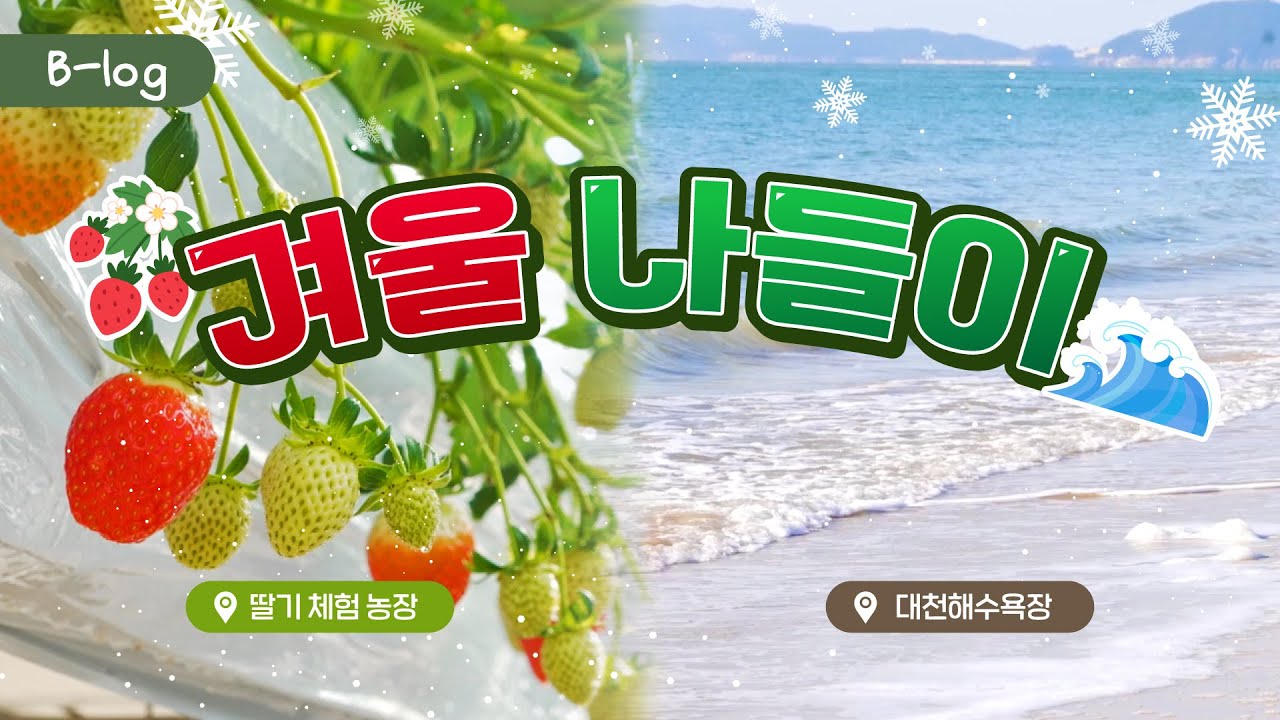 B-log📌ㅣ미녀는 딸기를 좋아해~ 🍓🤍