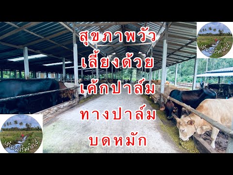 EP273:สุขภาพวัวที่เลี้ยงด้วยเค EP285:คนไทยที่อยู่ต่างประเทศ เมื่อถูกพิทักษ์ทรัพย์ ล้มละลาย ต้องทำอย่างไร 