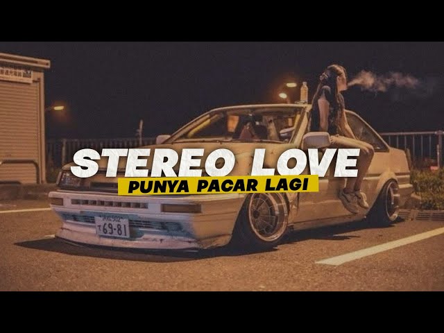 DJ STEREO LOVE X PUNYA PACAR LAGI | DJ VIRAL FYP TIKTOK class=