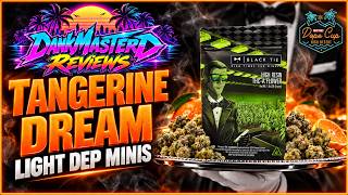 🍊 Black Tie THCA Review: Tangerine Dream Light Dep Minis | DankMasterD Reviews