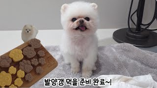 Oh So Sweet Chestnut Yanggaeng! I Made Them the Viral Dog Treat, Paw Yanggaeng...