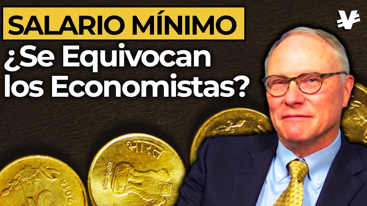 Como el SALARIO MÍNIMO afecta REALMENTE al desempleo - VisualEconomik