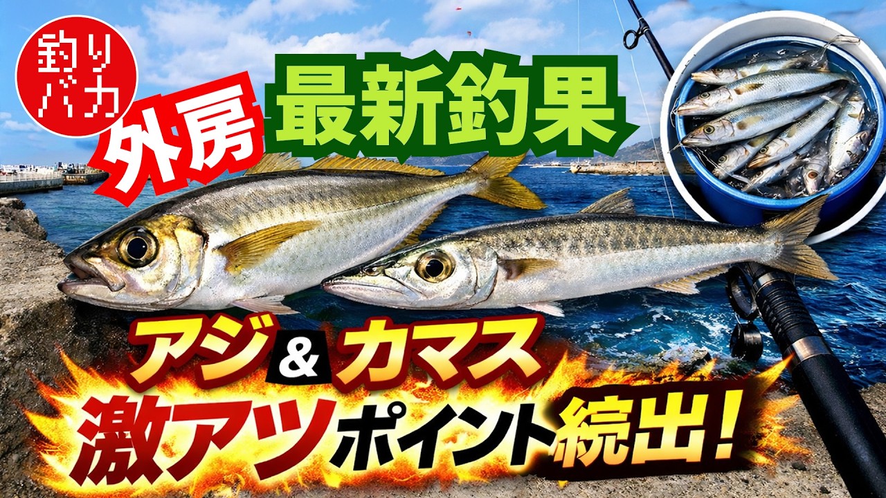 外房、最新釣果情報　アジ・カマス　大爆釣の釣り場はココだ！