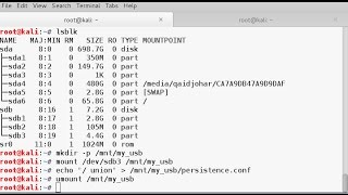 Making a Kali Linux Live Persistence USB