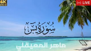 سورة يس - قرآن مريح للنوم - هداية للروح | بصوت الشيخ ماهر المعيقلي - جودة عالية - بث مباشر Live