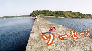 ソーセージを１日中投げ続けた結果！釣れた(351話目)