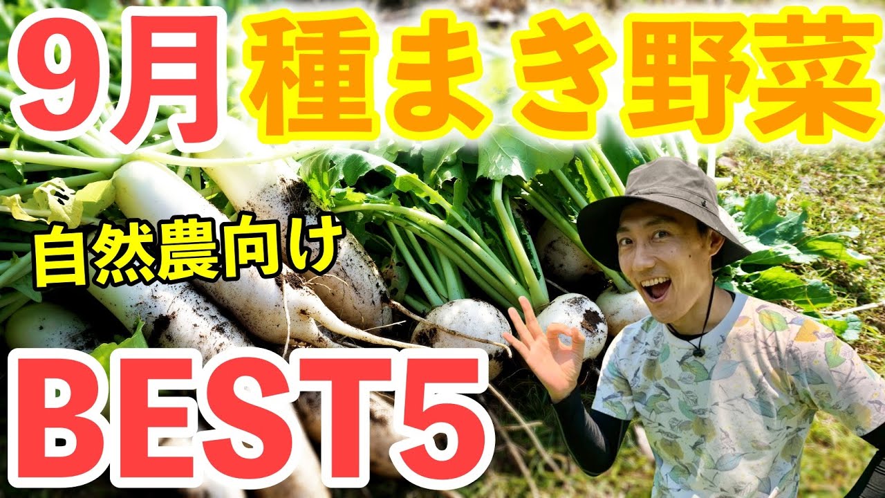 9 月 野菜 植える