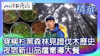 穿柳杉黑森林見證伐木歷史　夜宿新山品嚐嚮導大餐｜台中市和平區 麥覺明【@ctvmit769集】