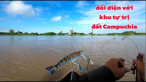 Tôm ở gần mấy khu tự trị nó đã thành tinh hết rồi @MinhTâm67vlocg