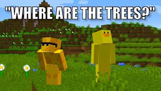 The Day Trees Disappeared in Minecraft