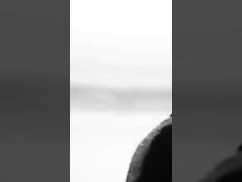 اغنية سكاتي لرابور مسلم