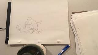 Assignment 5 - “Jiujitsu Roll” rough copy (Done in Stop Motion)