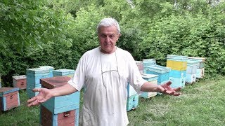 Как определить количество МЕДА на ЗИМУ ПЧЕЛАМ? Нормы обеспечения пчел медом.