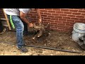 How to remove smaller stumps with basic tools