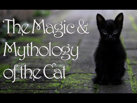 The Magic & Mythology of the Cat