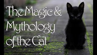 The Magic & Mythology of the Cat