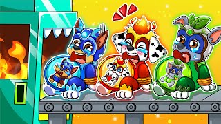 Brewing Baby Cute Factory But In DANGER?! - Very Sad Story - Paw Patrol Ultimate Rescue - Rainbow 3